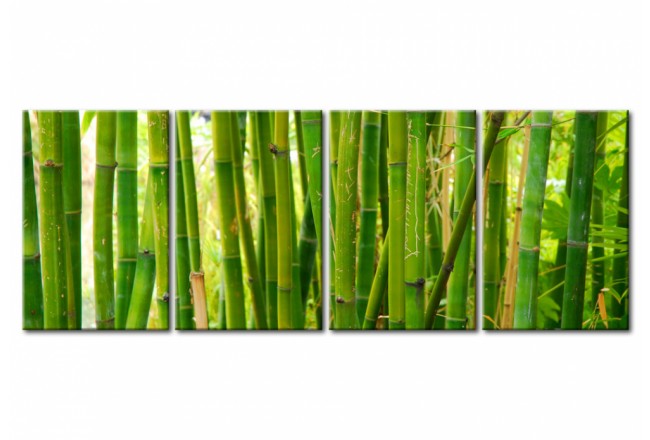 cuadro para salón dormitorio verde plantas bambú 2017 pantone greenery