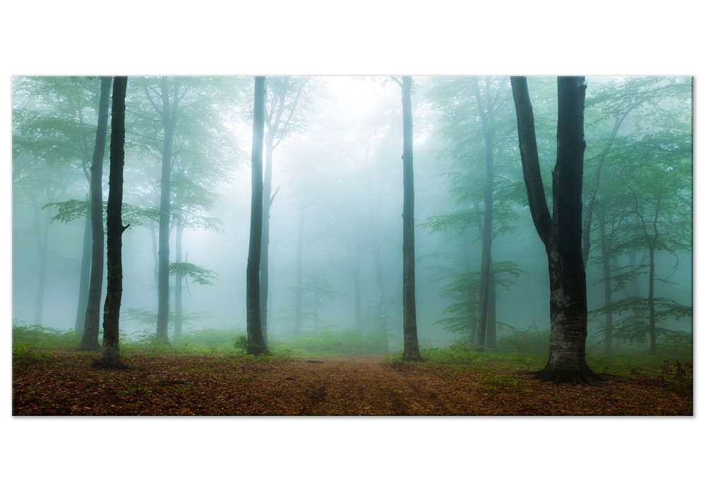 impresión en lienzo bosque en niebla