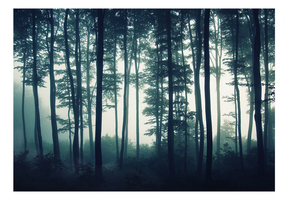 fotomural bosque