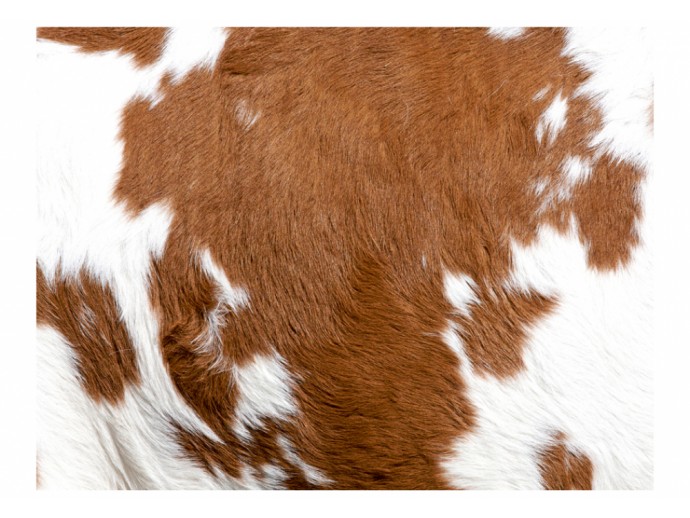 fotomural country campesino piel pelaje vaca