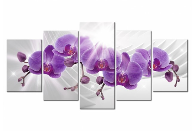 cuadro naturaleza flor orquídea violeta ultra violet