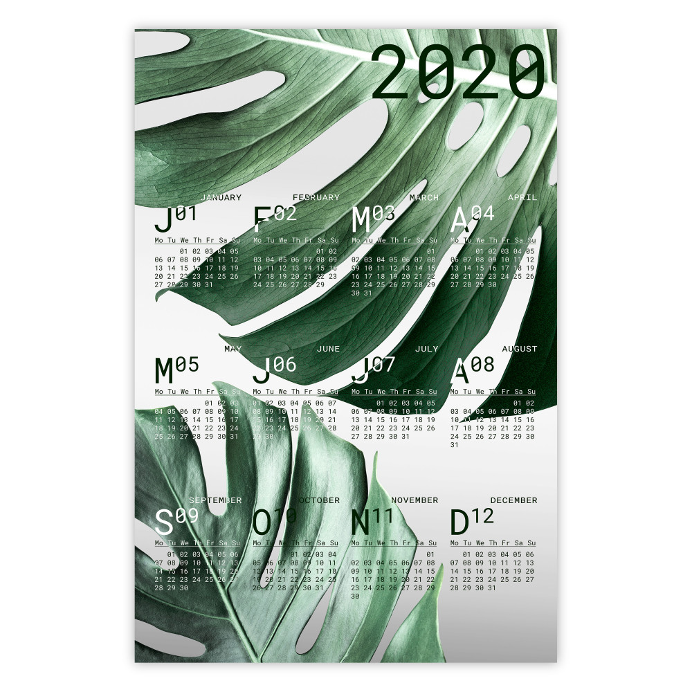 2020 Calendar: Monstera [Poster] 