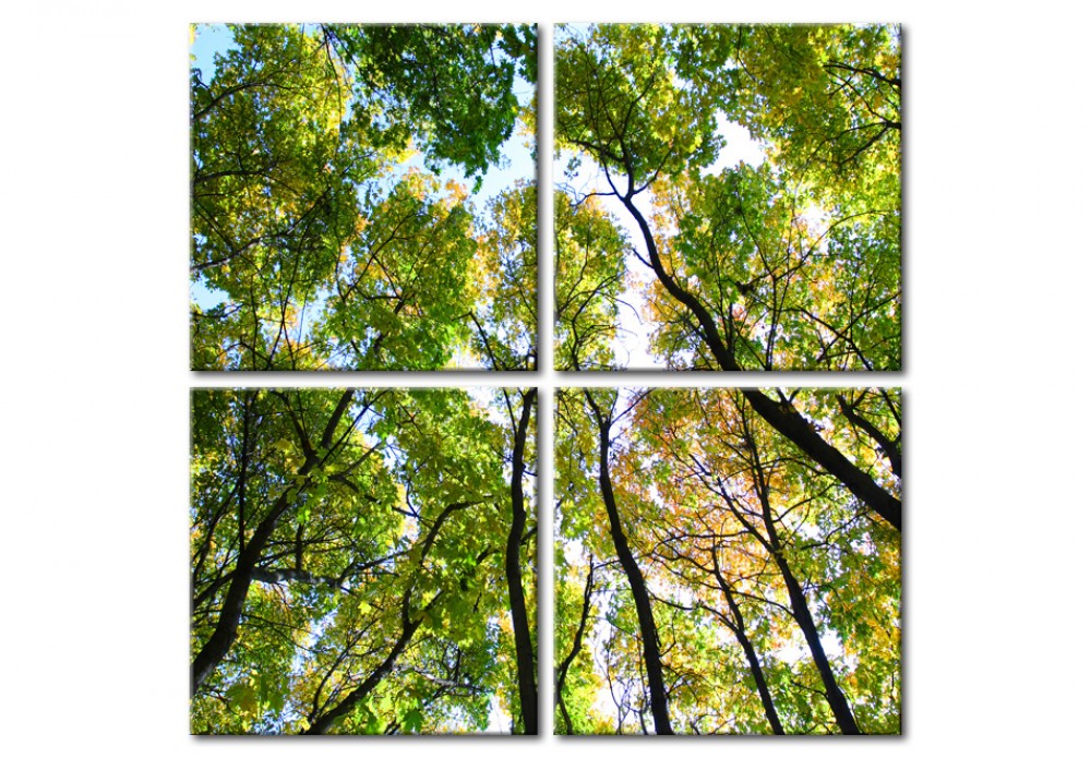cuadro verde bosque árboles naturaleza
