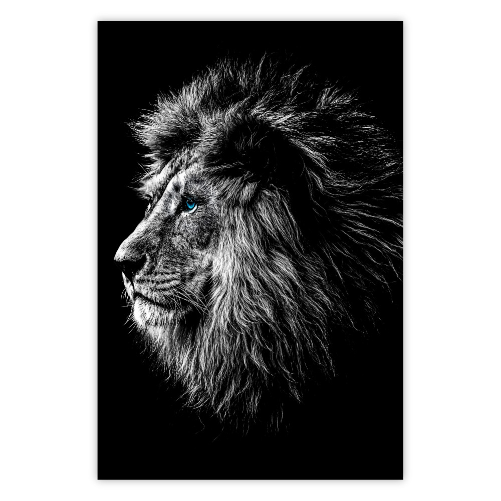 cartel de león