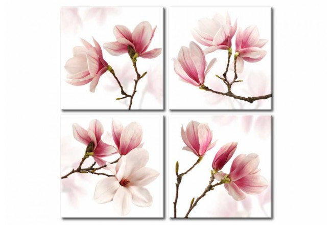 cuadro flores magnolias